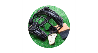 Umpire Training starts November 18